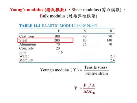 陽數|陽數的解釋